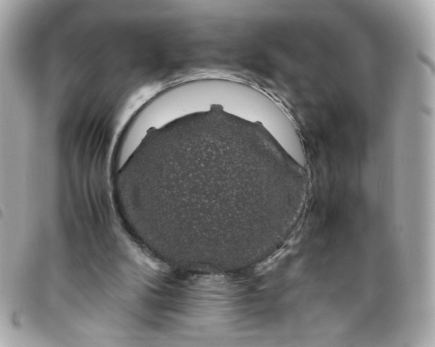 X0000096480104200802071929