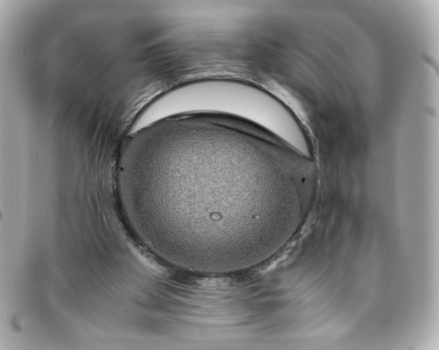 X0000096480105200802071929