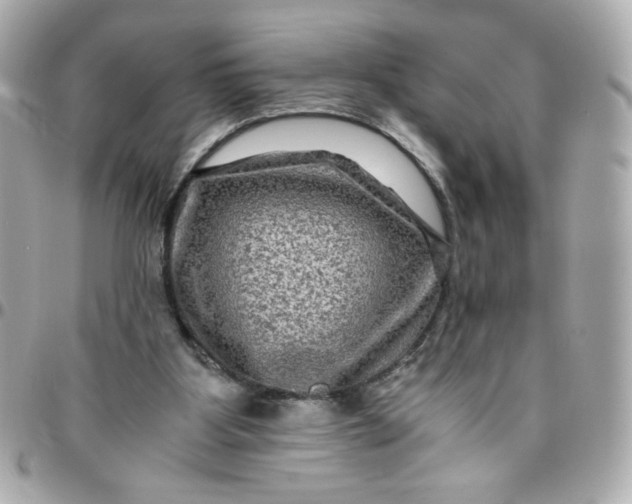 X0000096480107200802071929