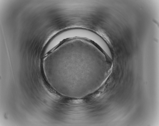 X0000096480108200802071929