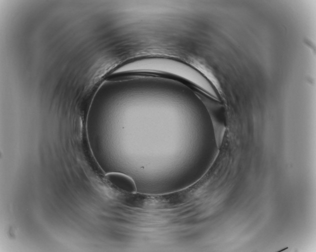 X0000096480109200802071929