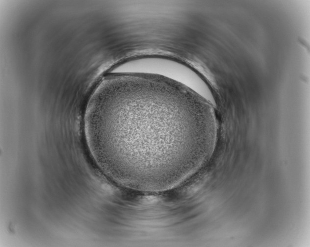 X0000096480111200802071929