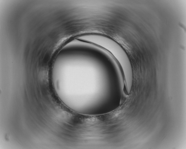 X0000096480112200802071929