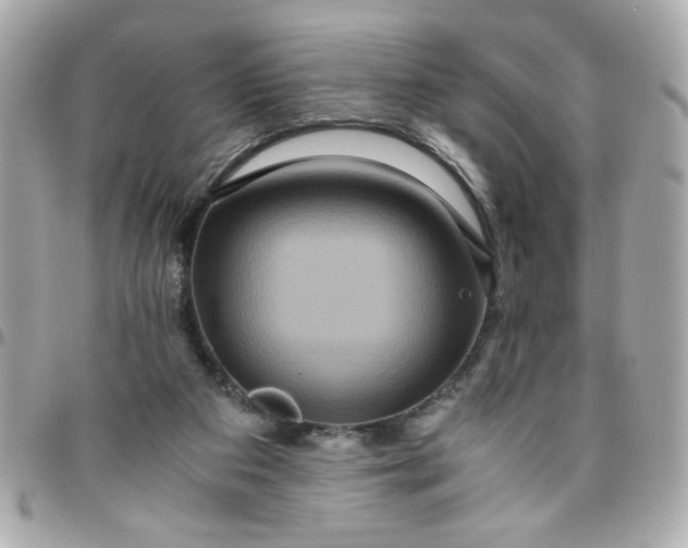 X0000096480113200802071929