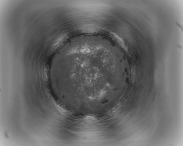 X0000096480114200802071929