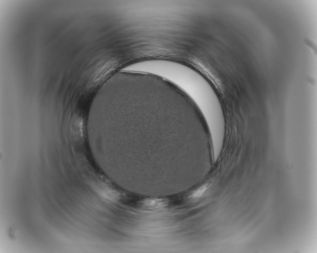 X0000096480117200802071929