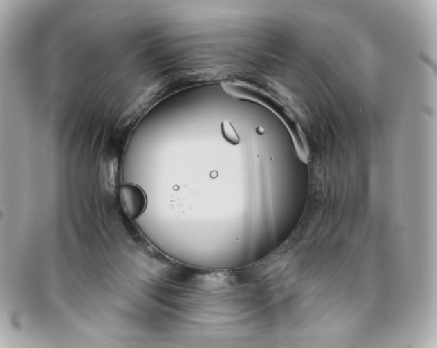 X0000096480118200802071929