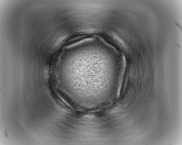 X0000096480119200802071929