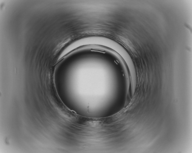 X0000096480120200802071929