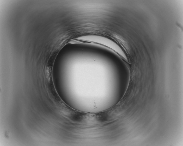 X0000096480121200802071929