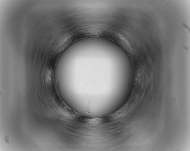 X0000096480122200802071929