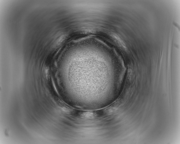 X0000096480123200802071929