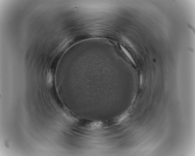 X0000096480124200802071929