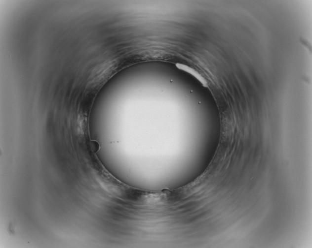 X0000096480126200802071929