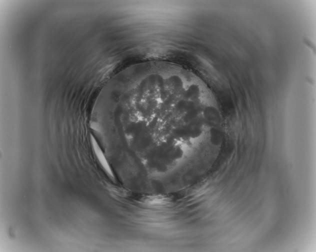 X0000096480127200802071929