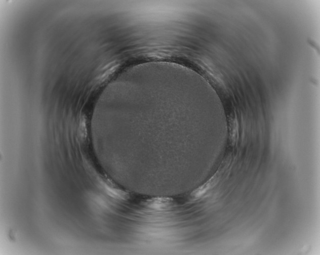 X0000096480128200802071928