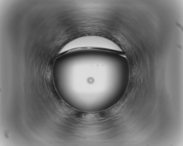 X0000096480129200802071928