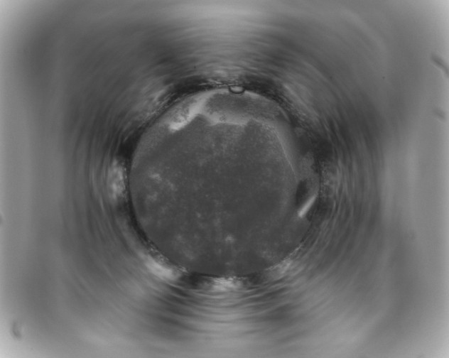 X0000096480130200802071928