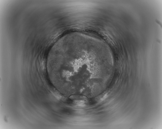 X0000096480131200802071928