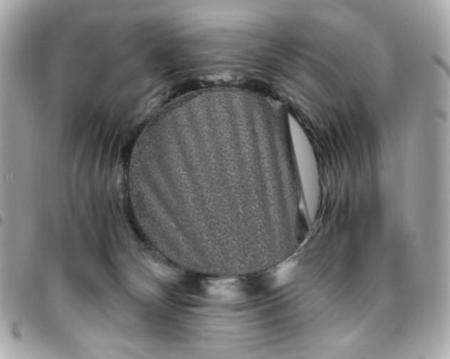 X0000096480132200802071928