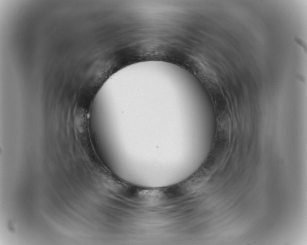 X0000096480133200802071928