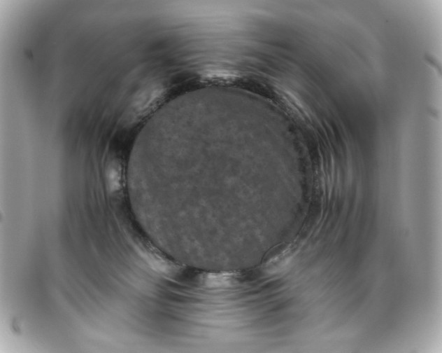 X0000096480134200802071928