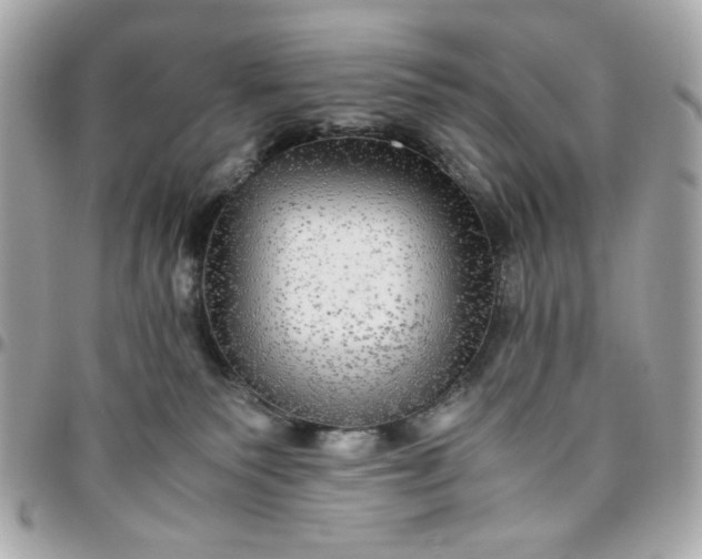 X0000096480135200802071928