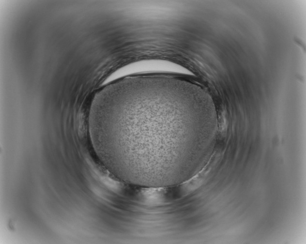 X0000096480136200802071928