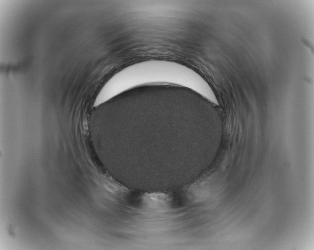 X0000096480137200802071928