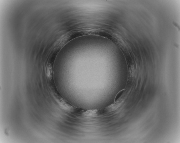 X0000096480138200802071928