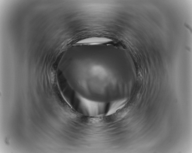 X0000096480139200802071928