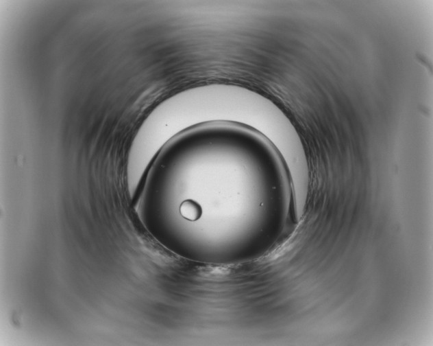 X0000096480140200802071928