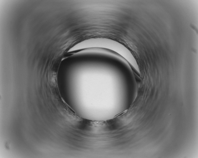 X0000096480141200802071928