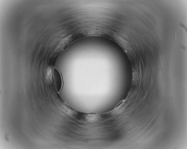 X0000096480142200802071928