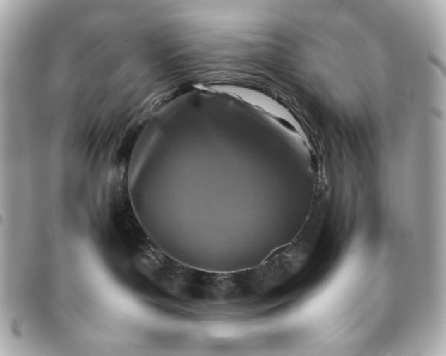 X0000096480143200802071928