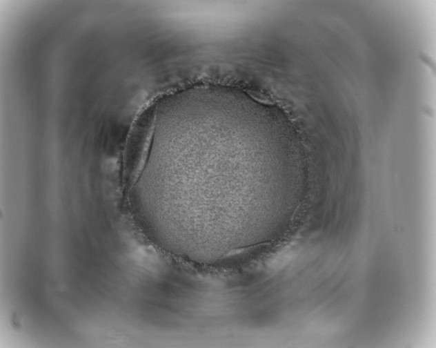 X0000096480144200802071928