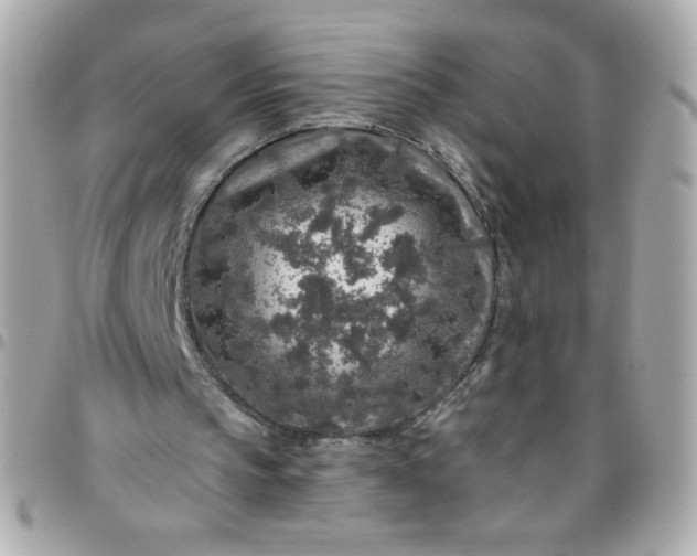 X0000096480145200802071928