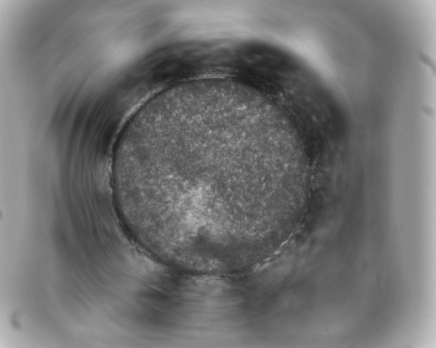 X0000096480146200802071928