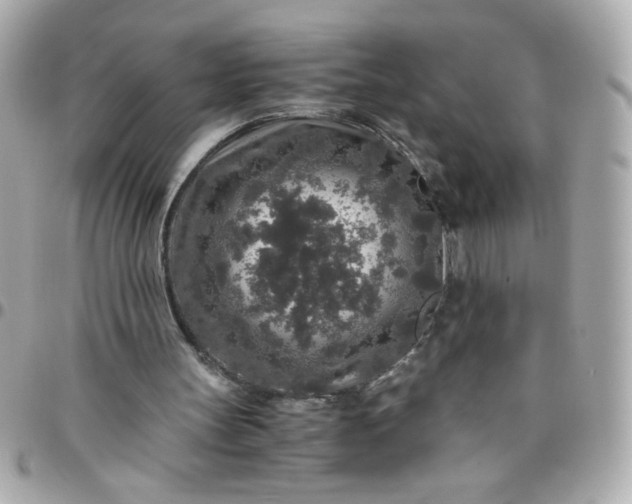 X0000096480147200802071928