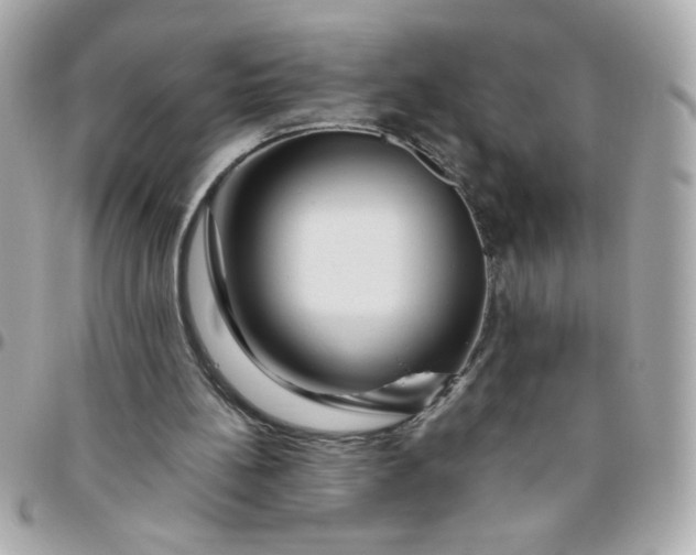 X0000096480148200802071928