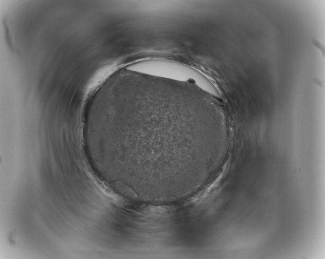 X0000096480149200802071928