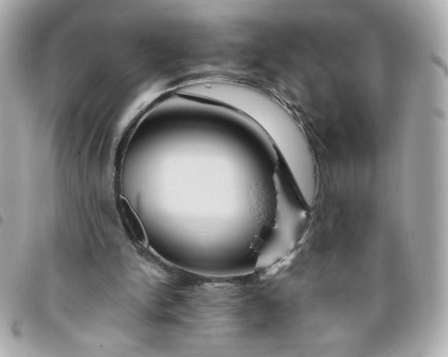 X0000096480150200802071928