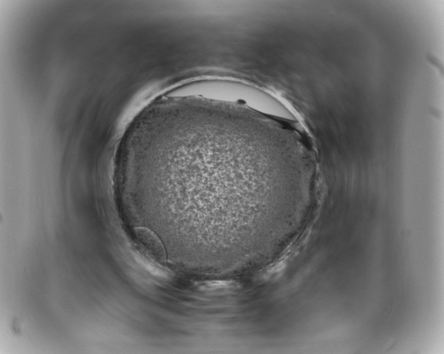 X0000096480151200802071928