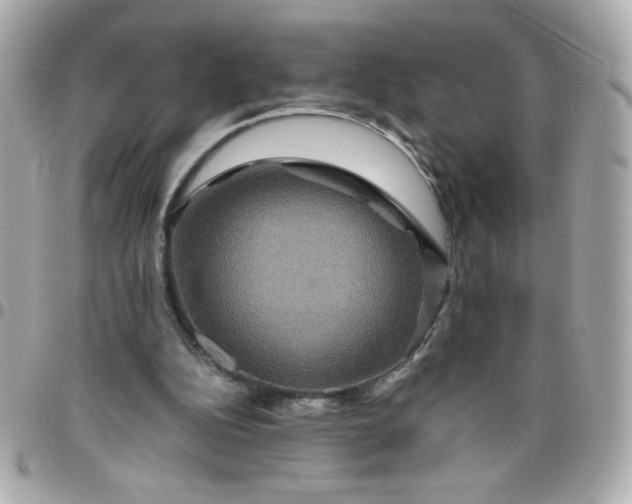 X0000096480152200802071928