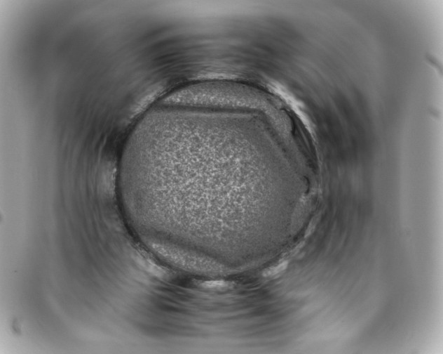 X0000096480153200802071928