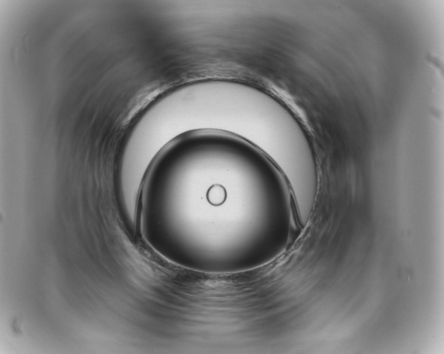 X0000096480154200802071928