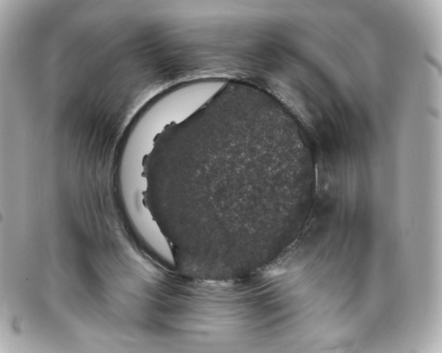 X0000096480156200802071928