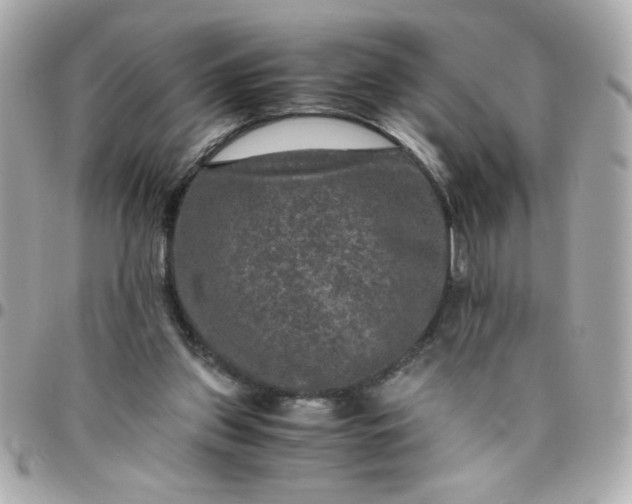 X0000096480157200802071928