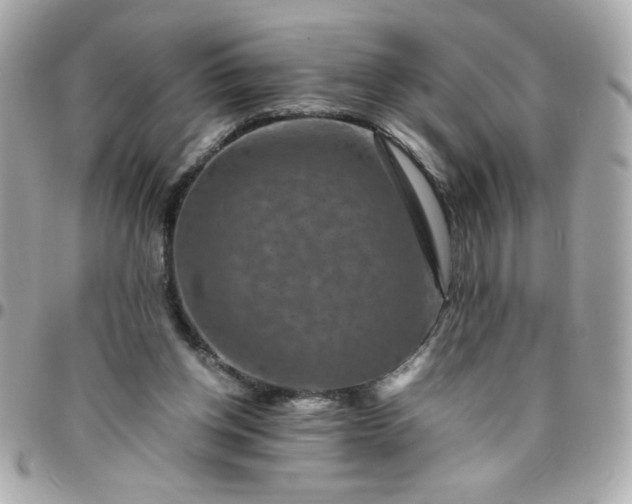 X0000096480158200802071928