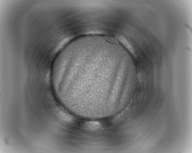 X0000096480159200802071928